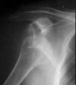 Image c6n116.jpg