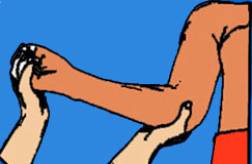 Image c6n125.jpg